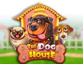 thedoghouse